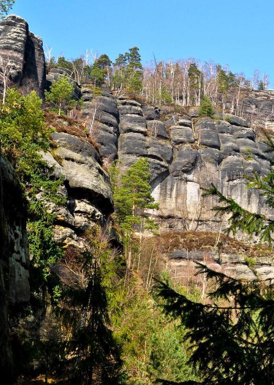 Pension Fuhrmann'S Elb- Cafe Bad Schandau Rom bilde